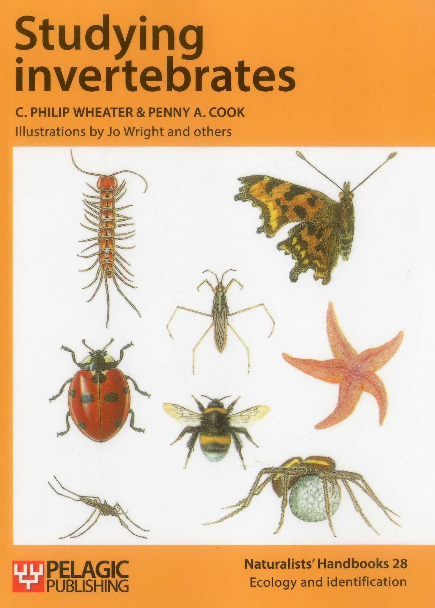 Studying Invertebrates