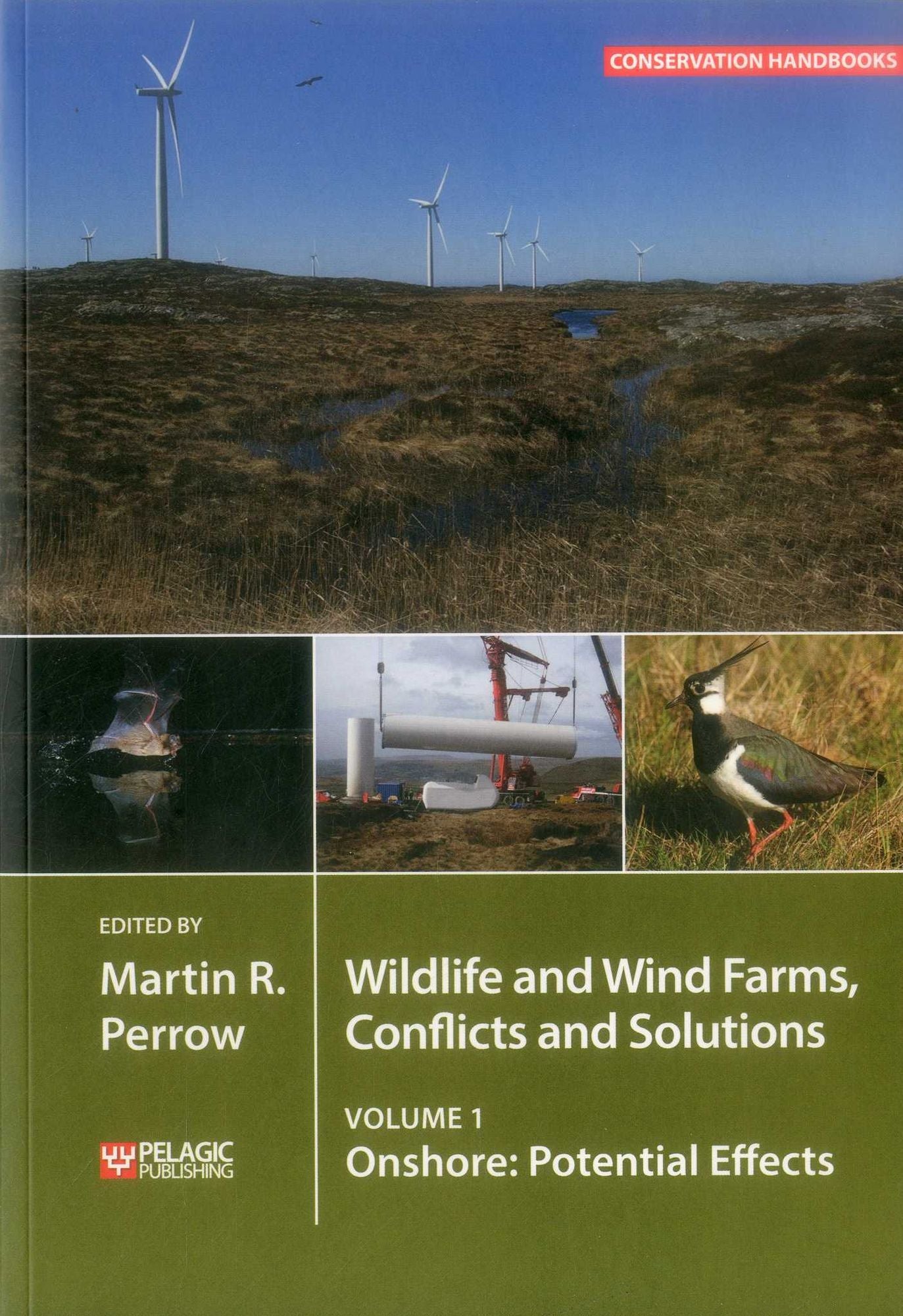 Wildlife and Wind Farms - Conflicts and Solutions: Onshore: Potential Effects