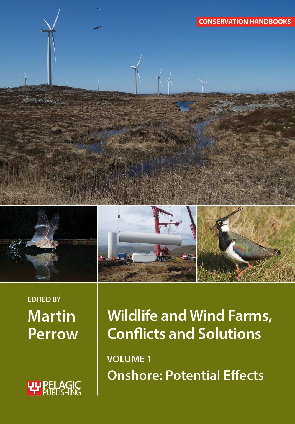 Wildlife and Wind Farms - Conflicts and Solutions: Onshore: Potential Effects