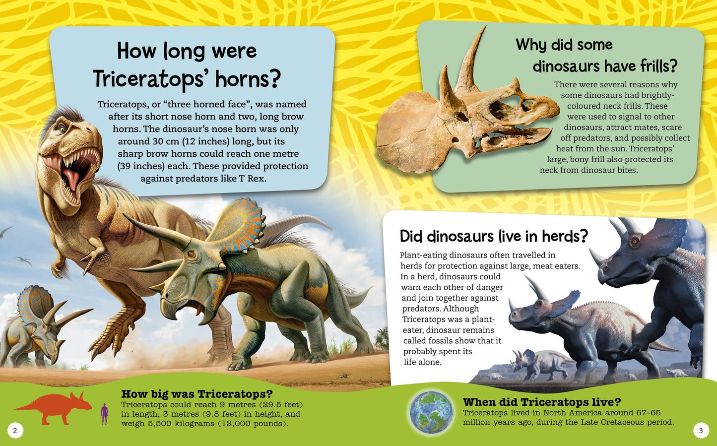 Dinosaur Questions & Answers