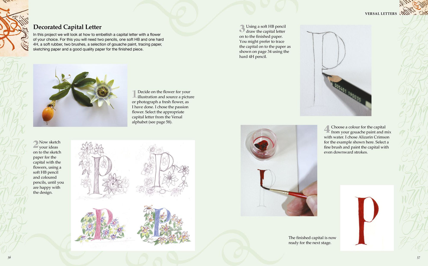 Calligraphy & Creative Lettering