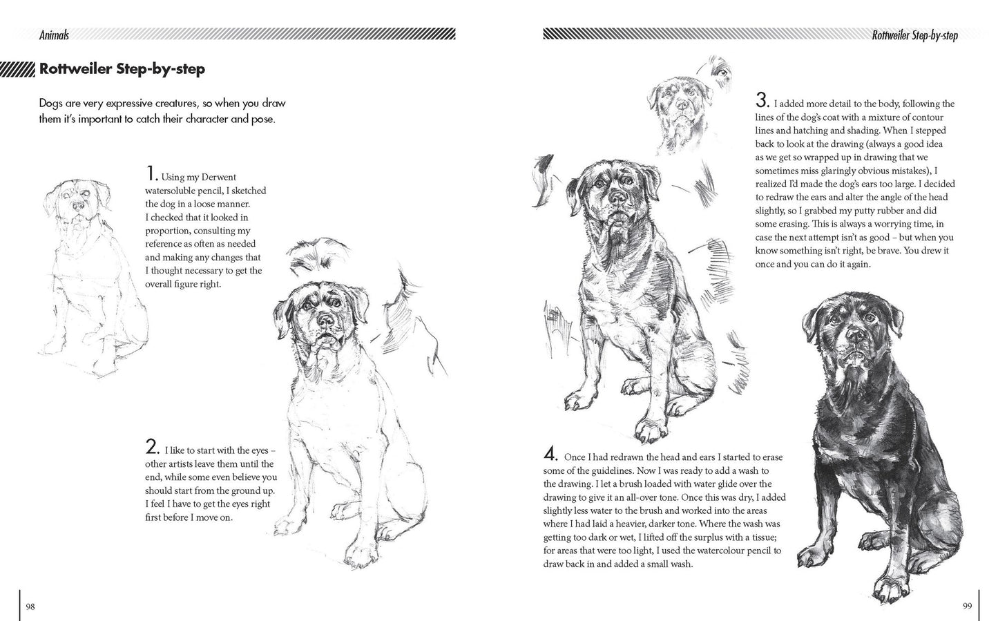 Essential Guide to Drawing
