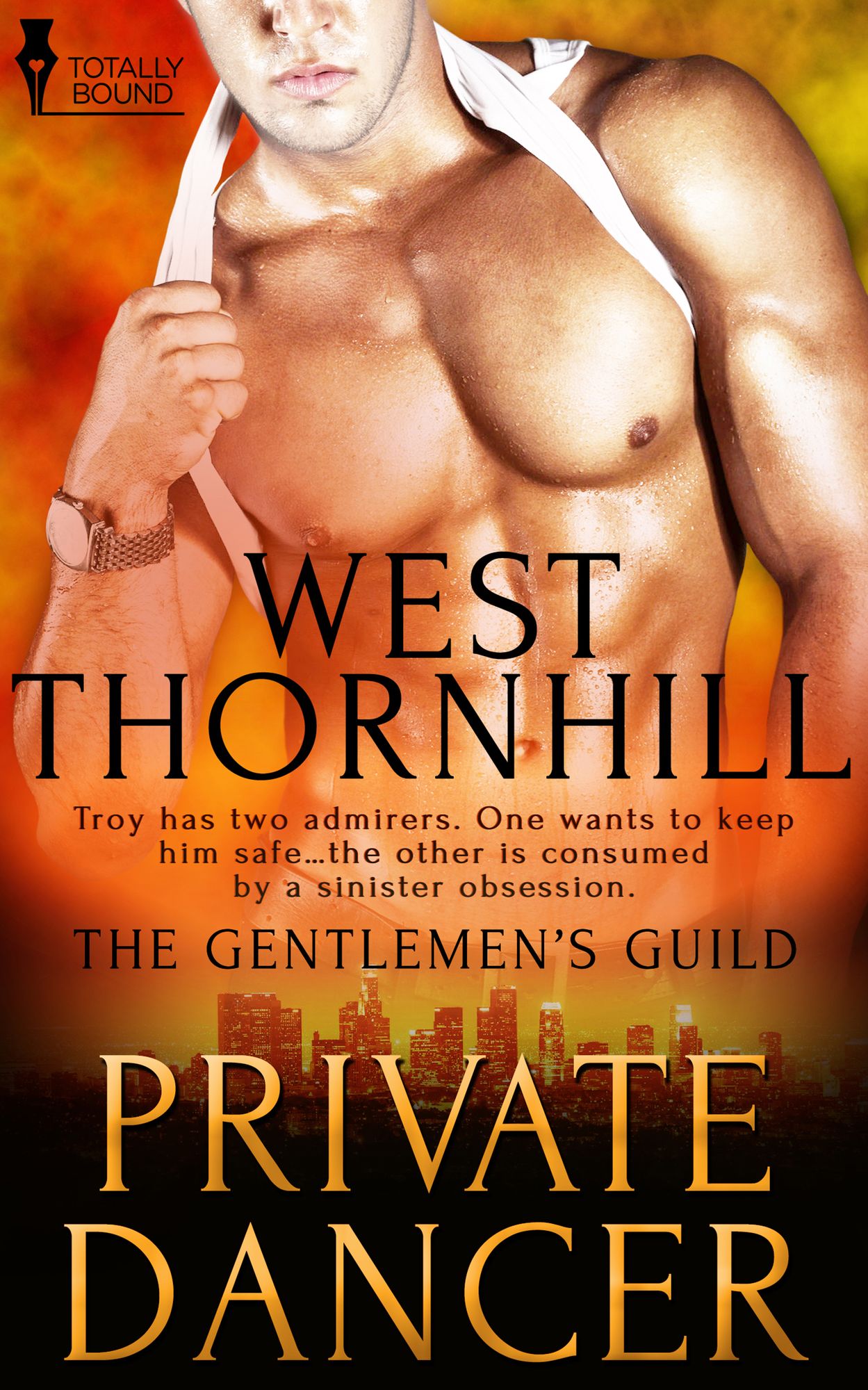 Private Dancer