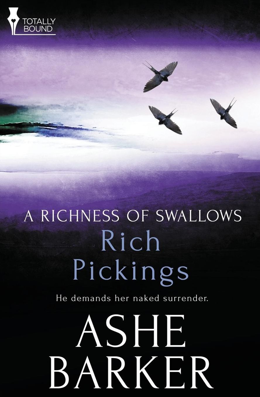 A Richness of Swallows: Rich Pickings