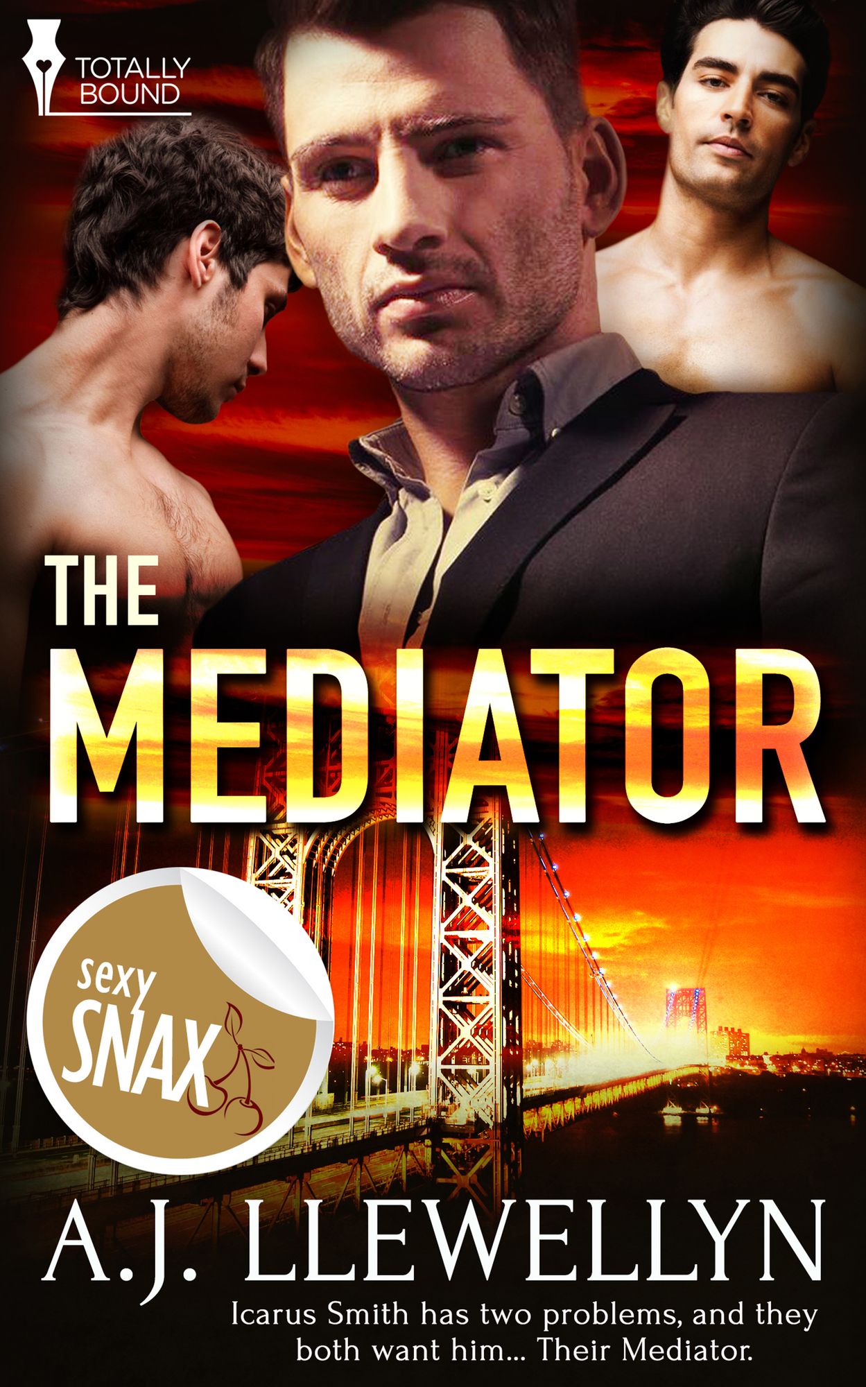 The Mediator