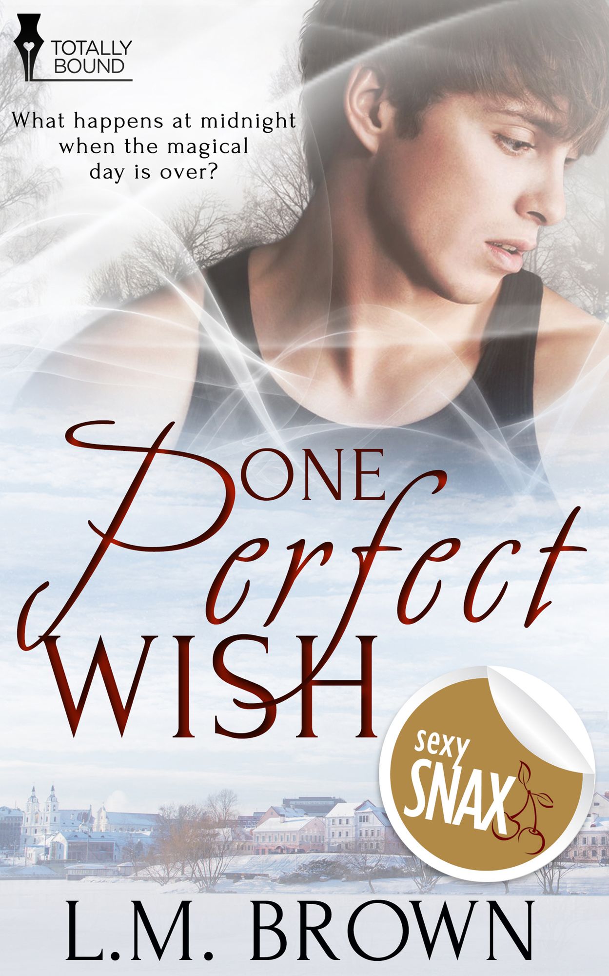One Perfect Wish