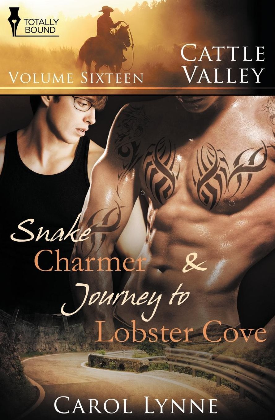 Cattle Valley: Vol 16