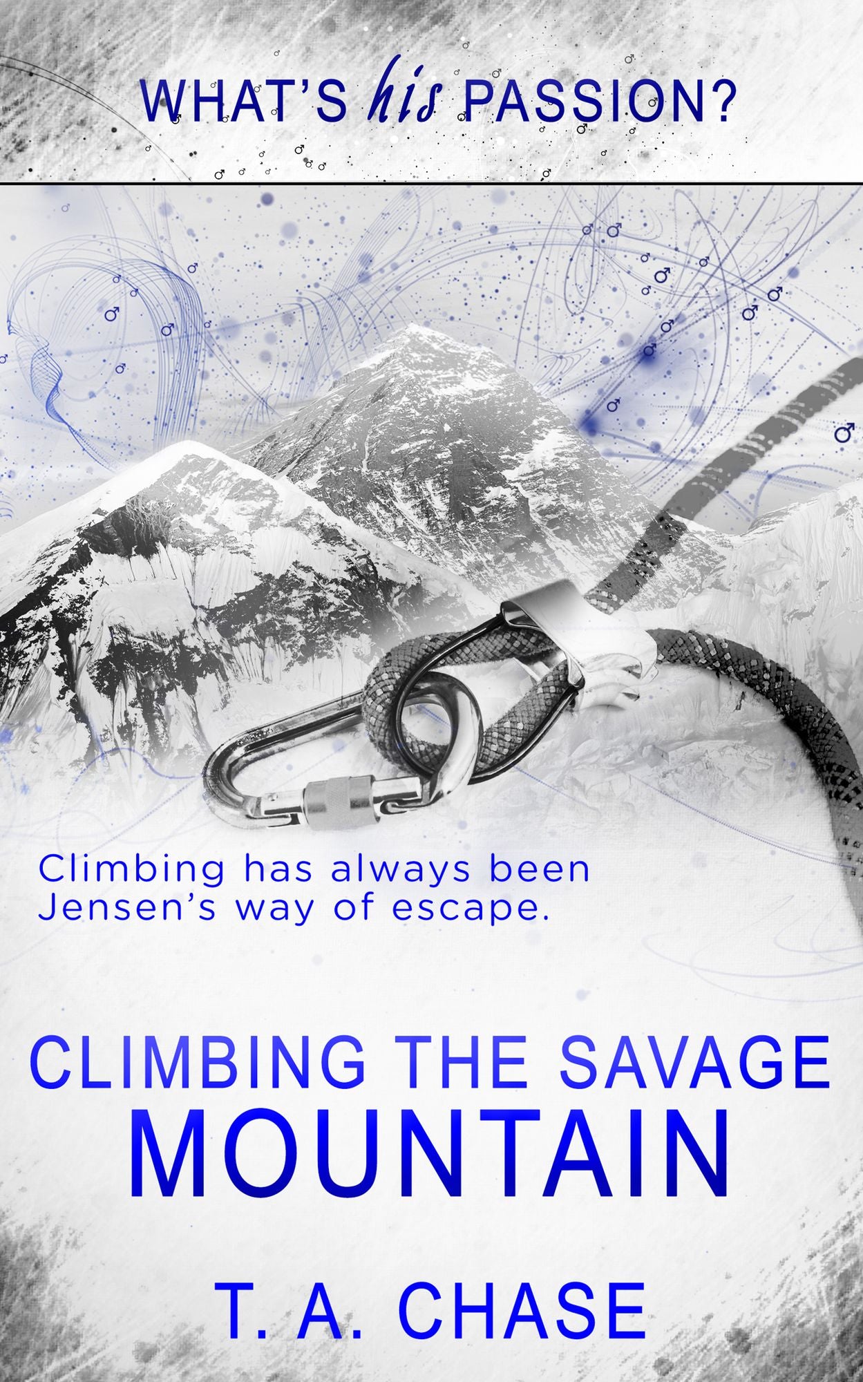 Climbing the Savage Mountain