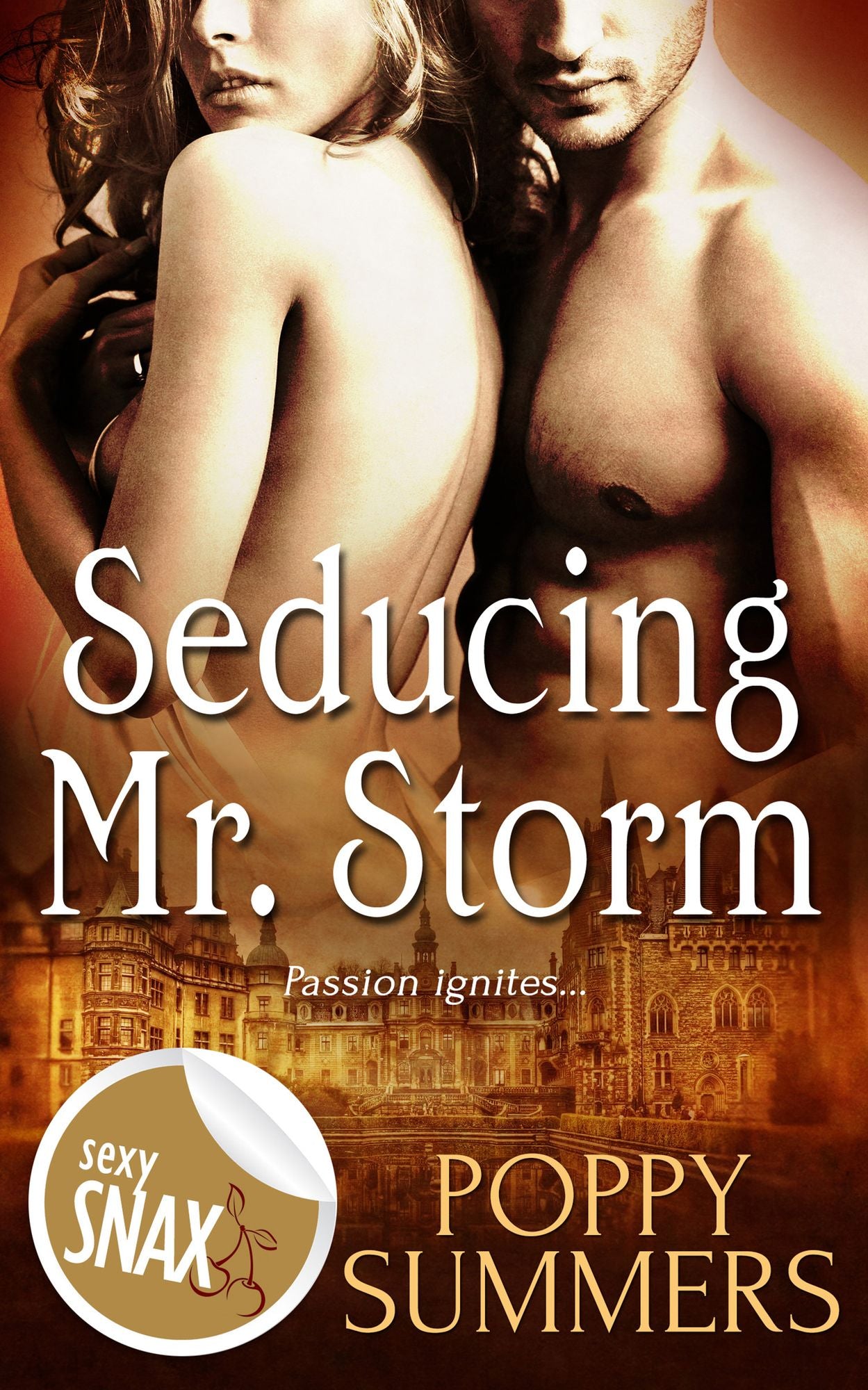 Seducing Mr. Storm