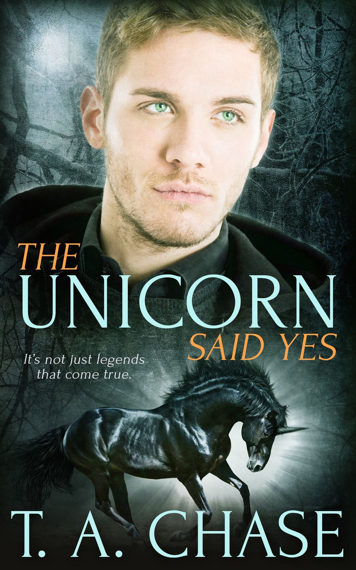 The Unicorn Said Yes