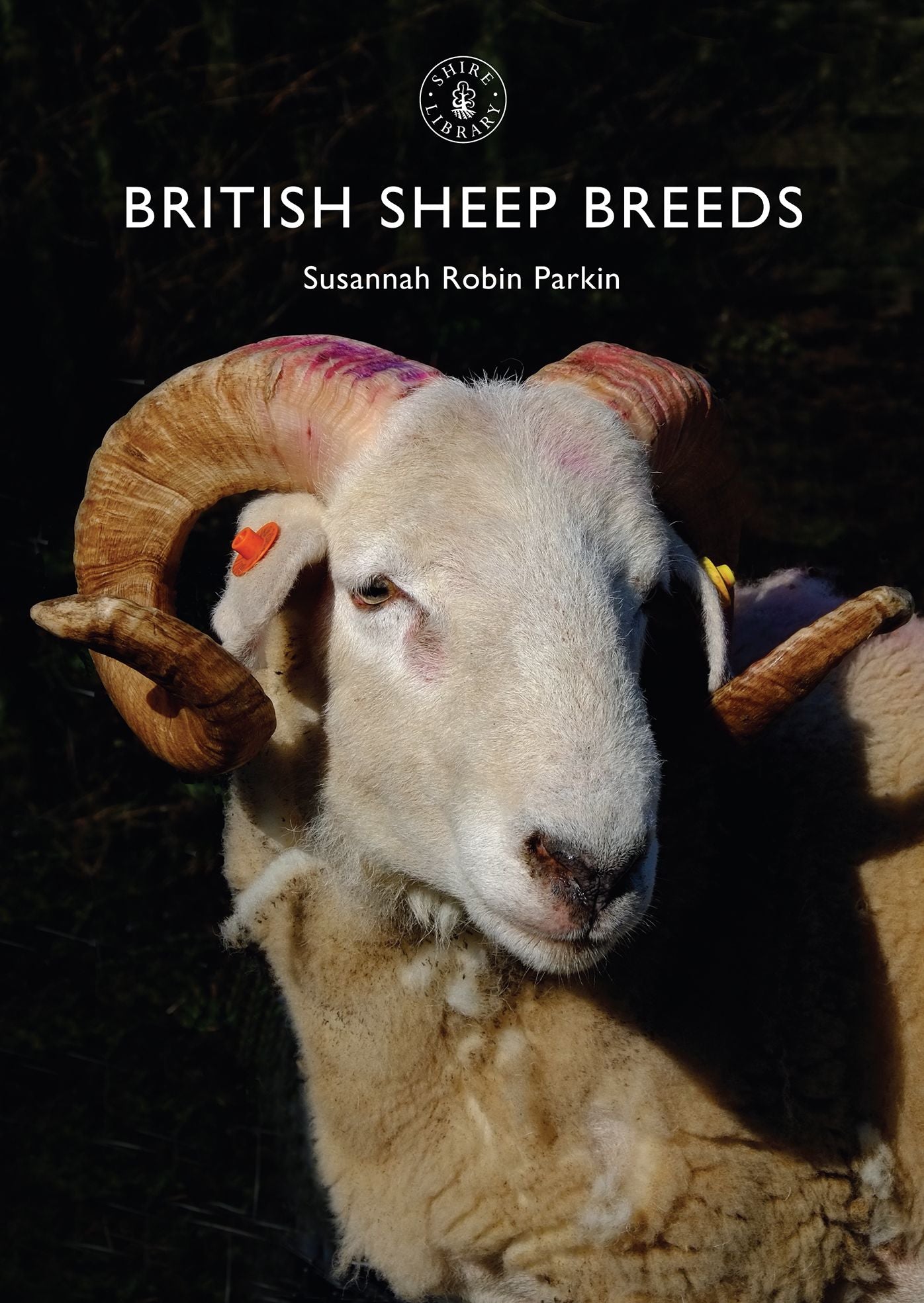 British Sheep Breeds