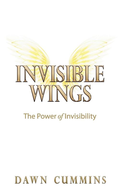 Invisible Wings: The Power of Invisibility