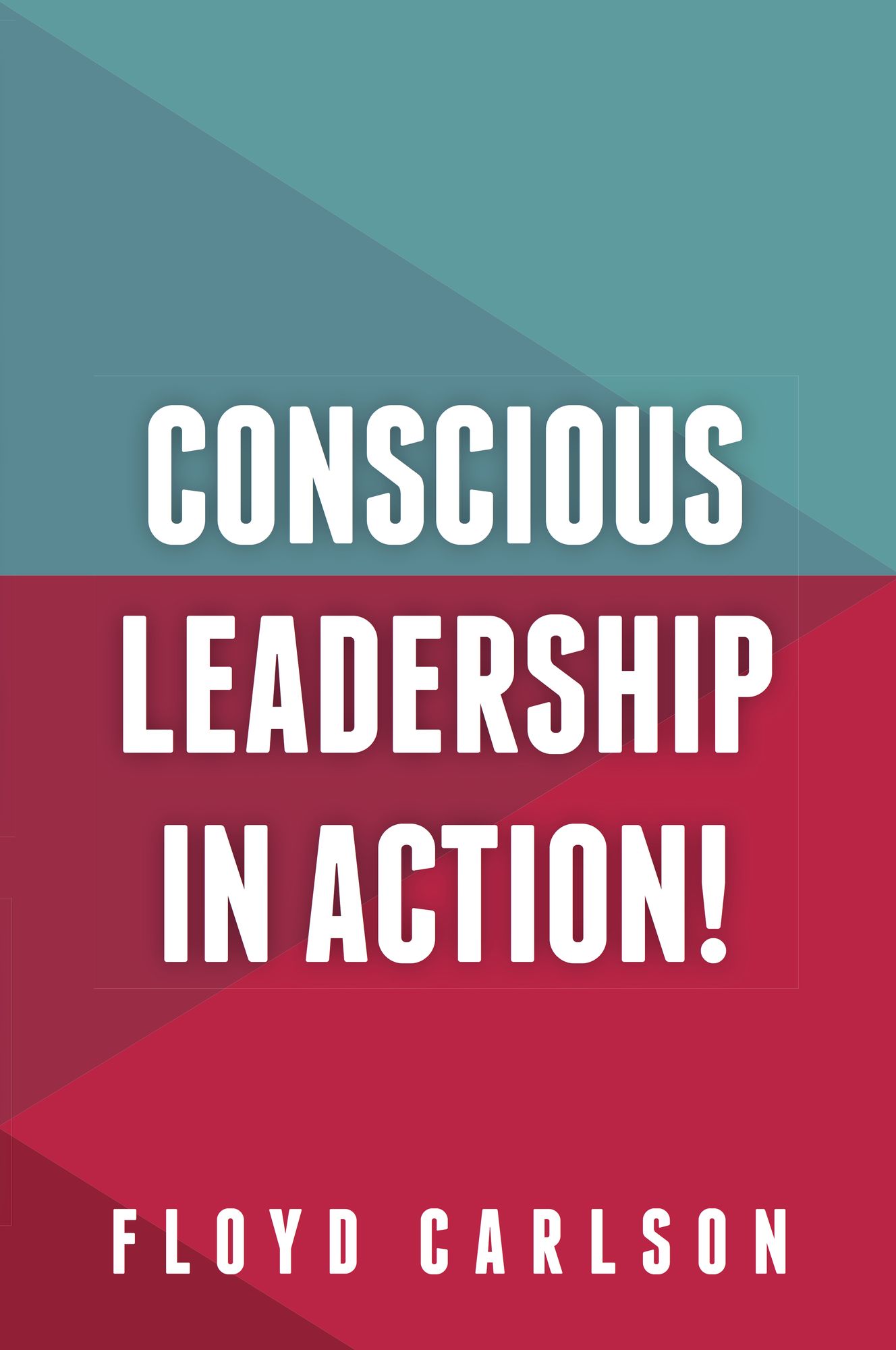 Conscious Leadership in Action!