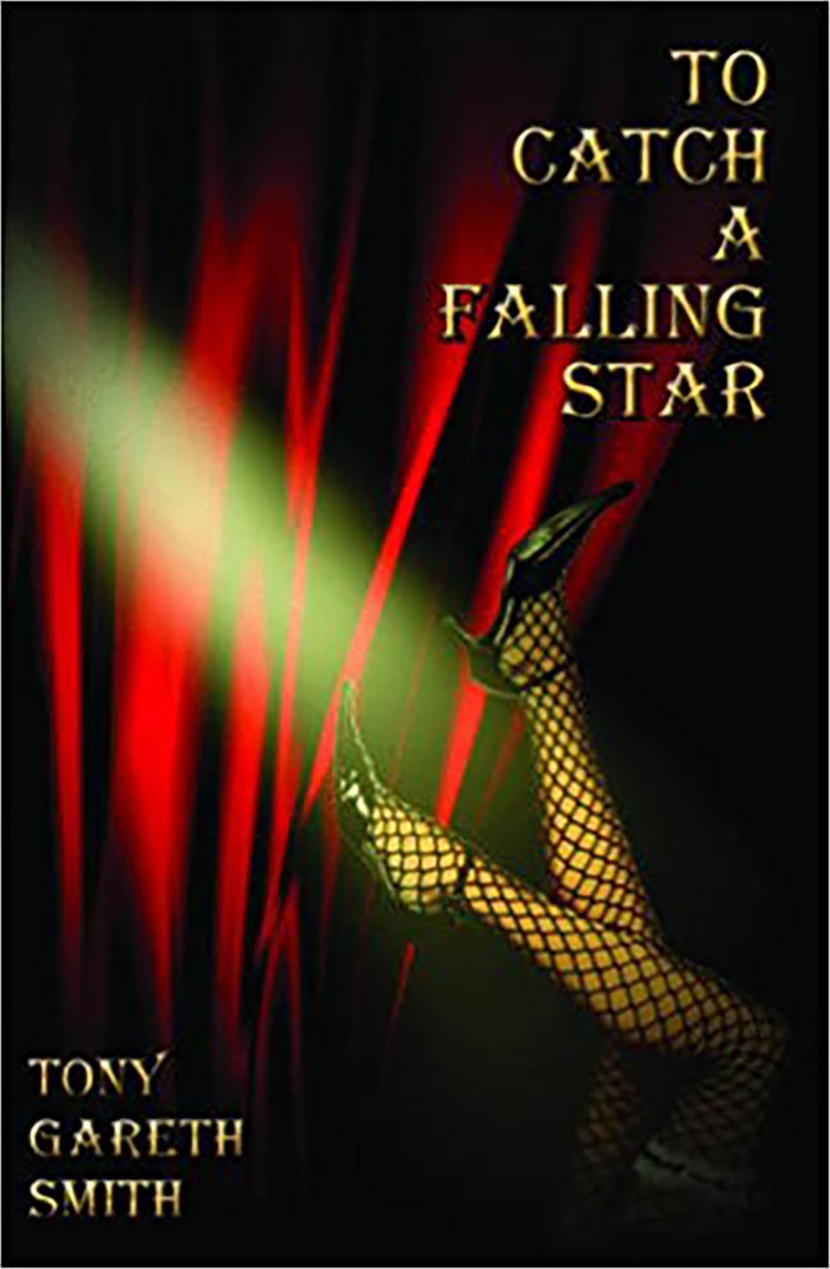 To Catch a Falling Star
