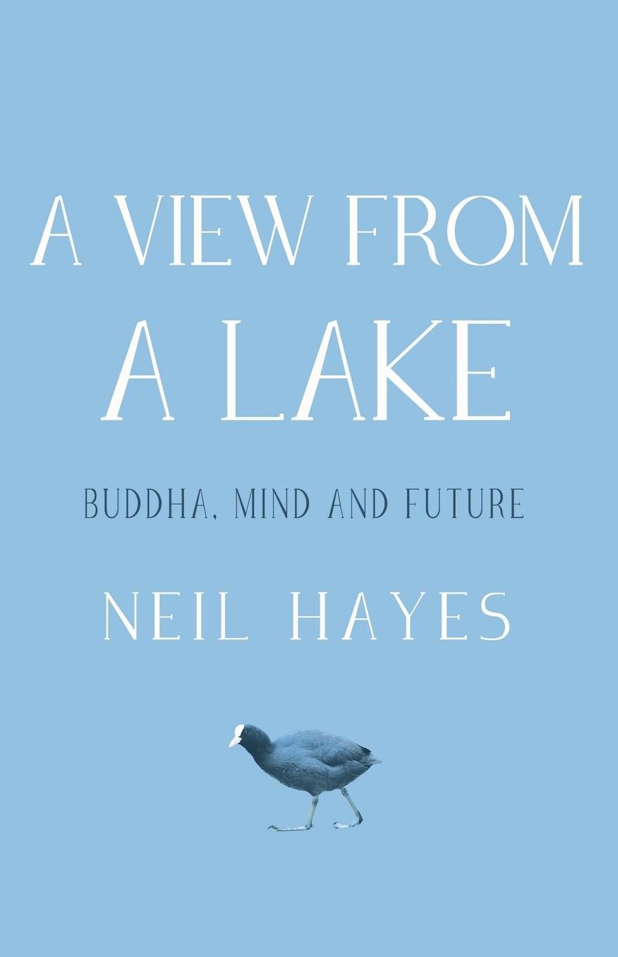 A View From A Lake: Buddha, Mind and Future