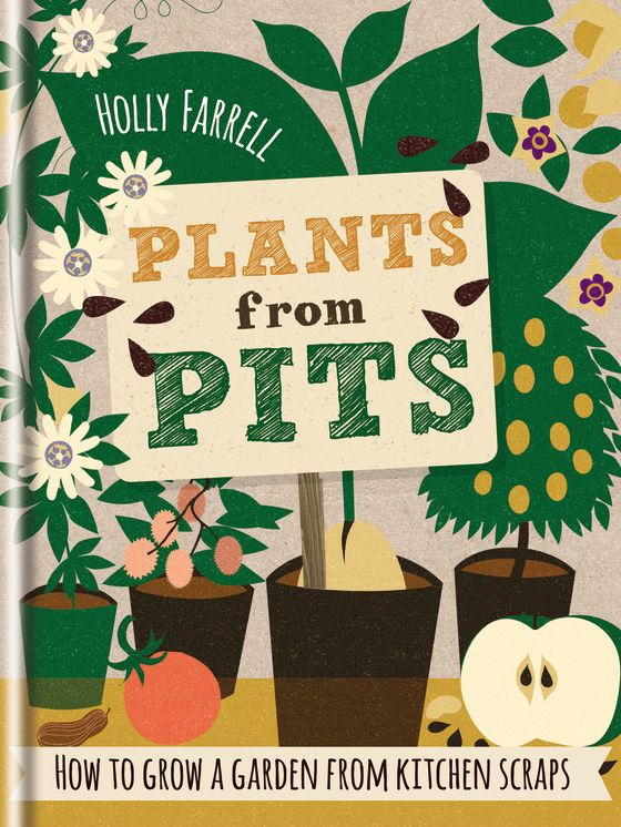 Plants from Pits: Pots of plants for the whole family to enjoy