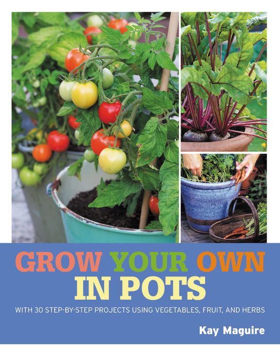 Grow Your Own in Pots: With 30 step-by-step projects using vegetables, fruit and herbs