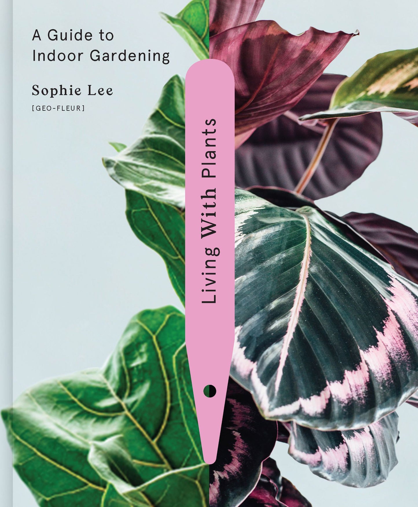 Living with Plants: A Guide to Indoor Gardening