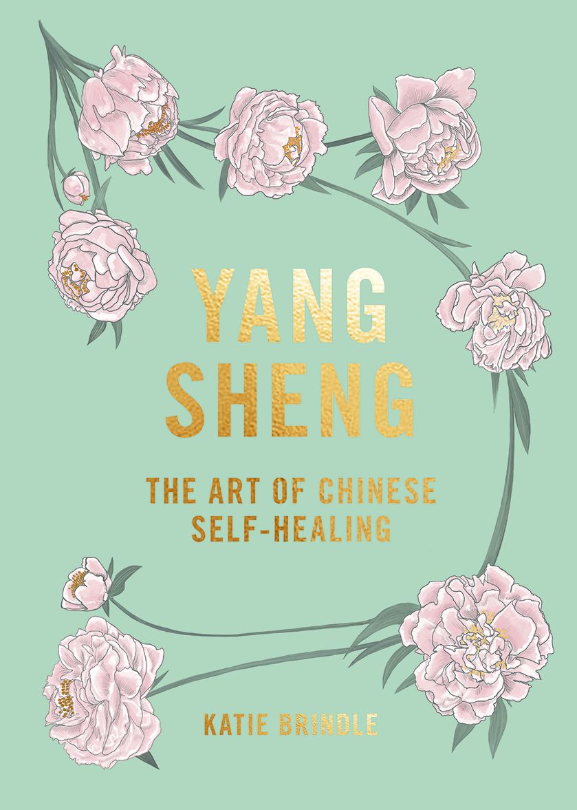 Yang Sheng: the Art of Chinese Self-Healing: Ancient Solutions to Modern Problems