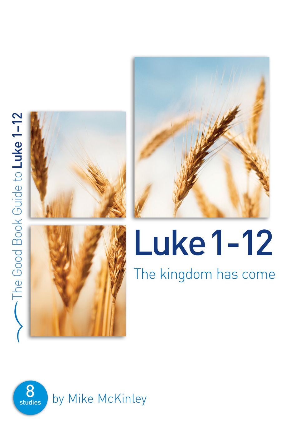 Luke 1-12: The kingdom has come: 8 studies for individuals or groups