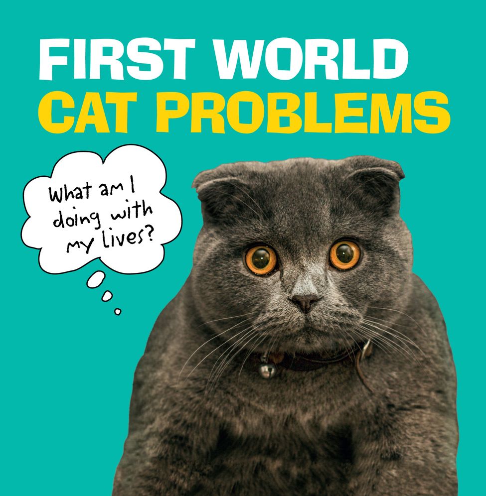 First World Cat Problems: What Am I Doing with My Lives?