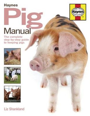 Pig Manual: The Complete Step-by-Step Guide to Keeping Pigs