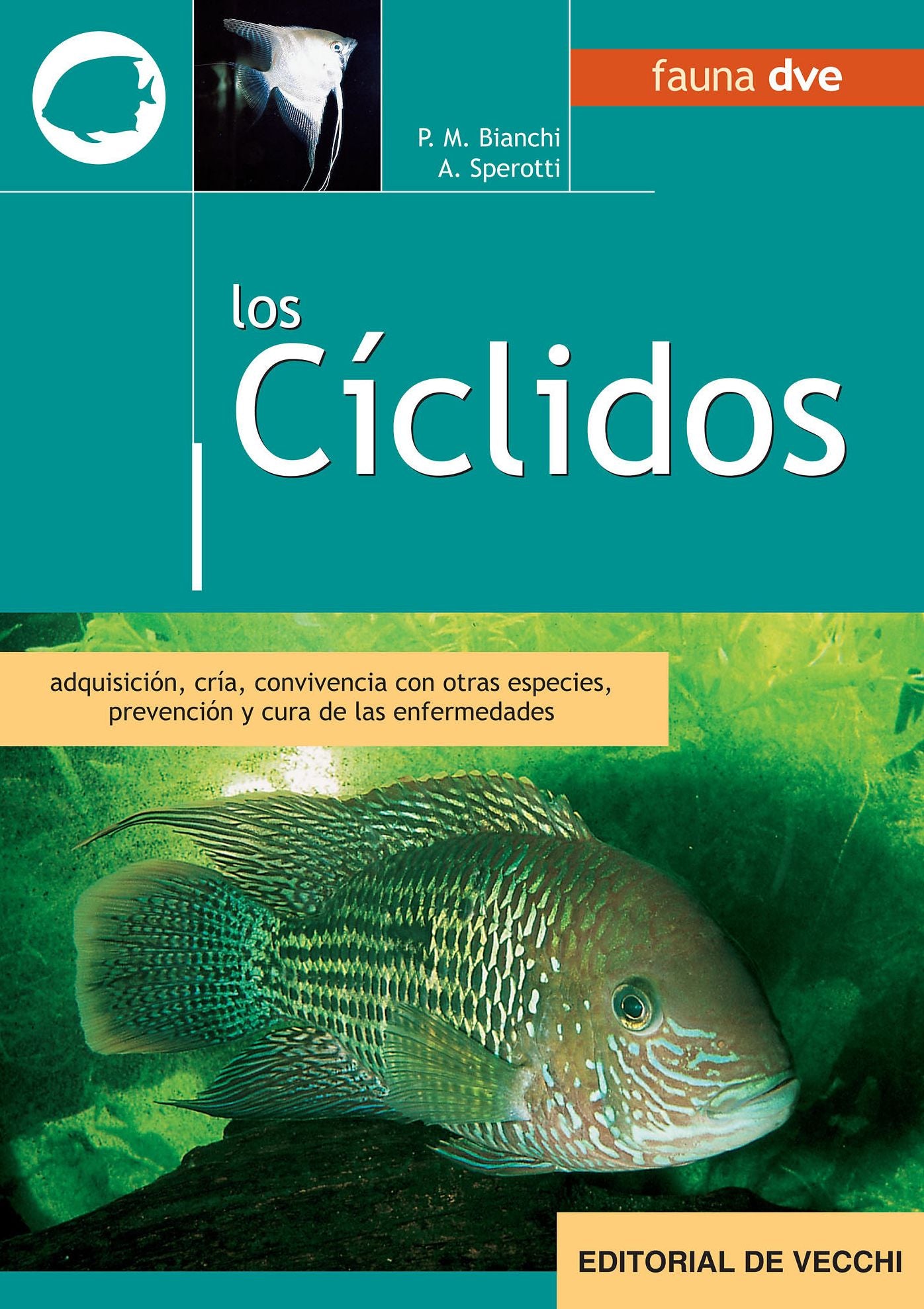 Los cíclidos