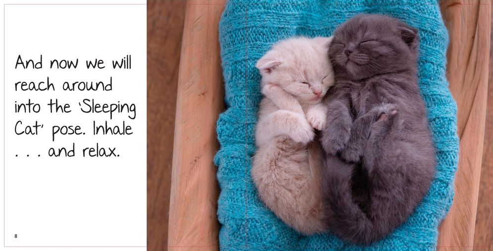 Lovecats: A Book of Cat Lovers for Cat-Lovers