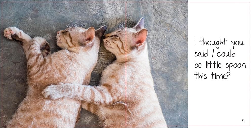 Lovecats: A Book of Cat Lovers for Cat-Lovers