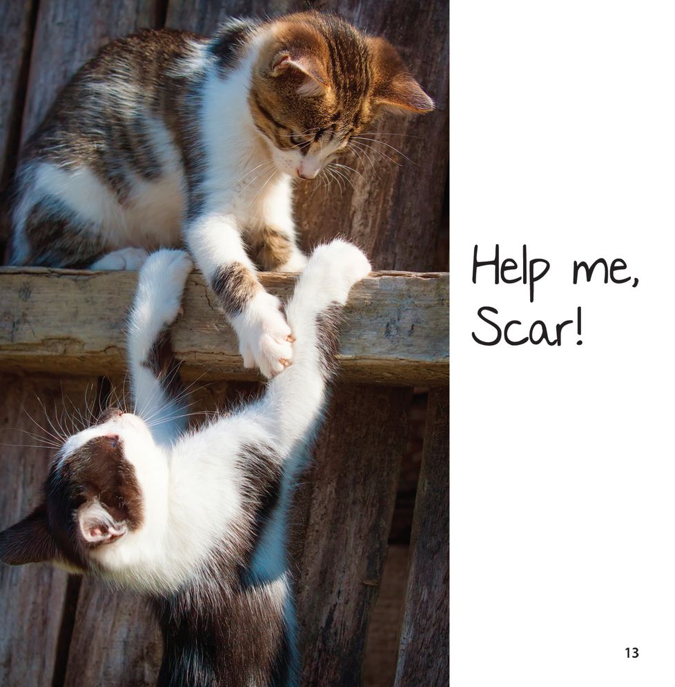 Lovecats: A Book of Cat Lovers for Cat-Lovers