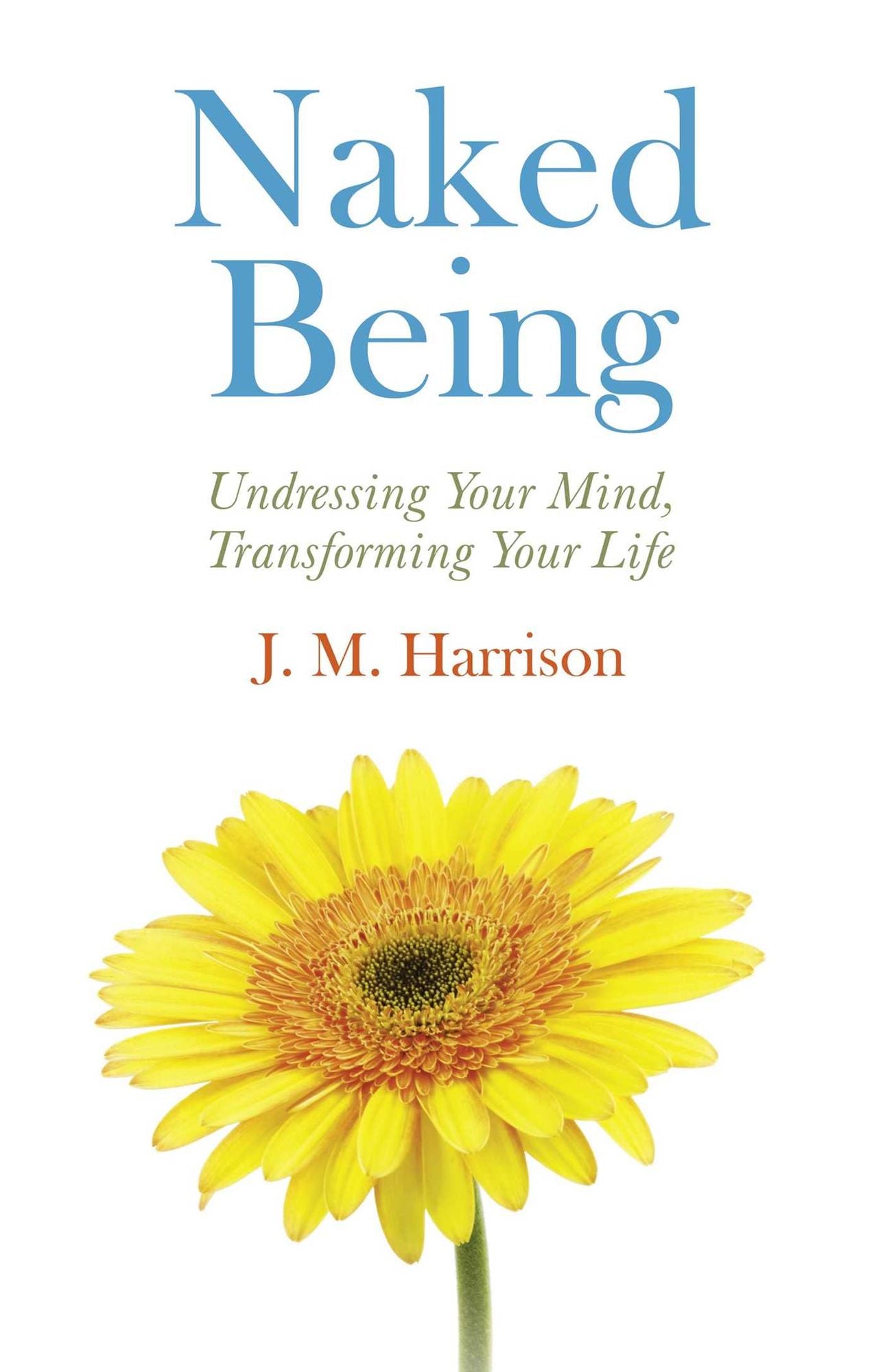 Naked Being: Undressing Your Mind, Transforming Your Life