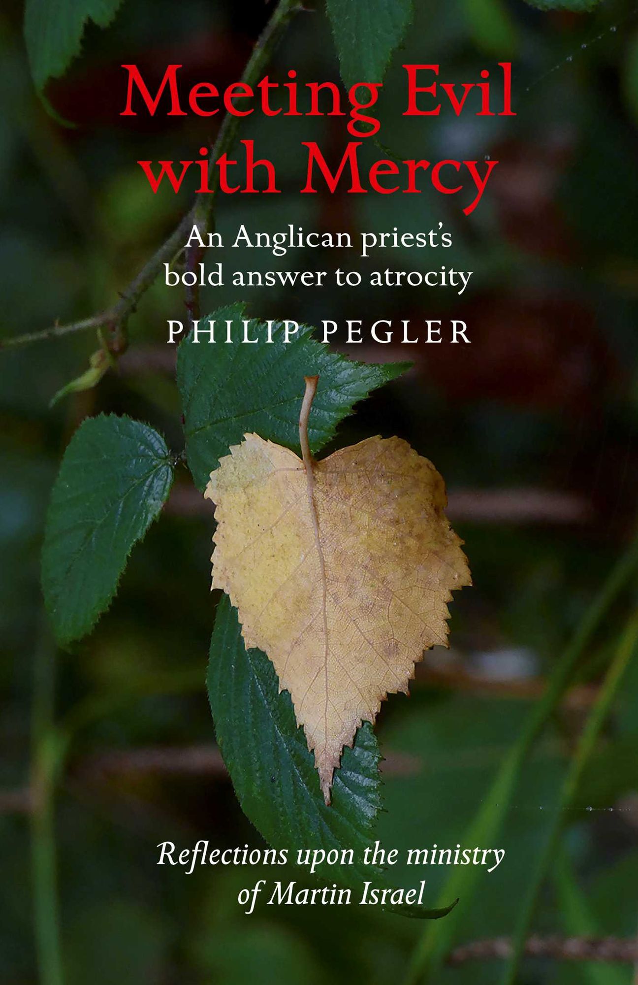 Meeting Evil With Mercy: An Anglican Priest'S Bold Answer To Atrocity - Reflections Upon The Ministry Of Martin Israel