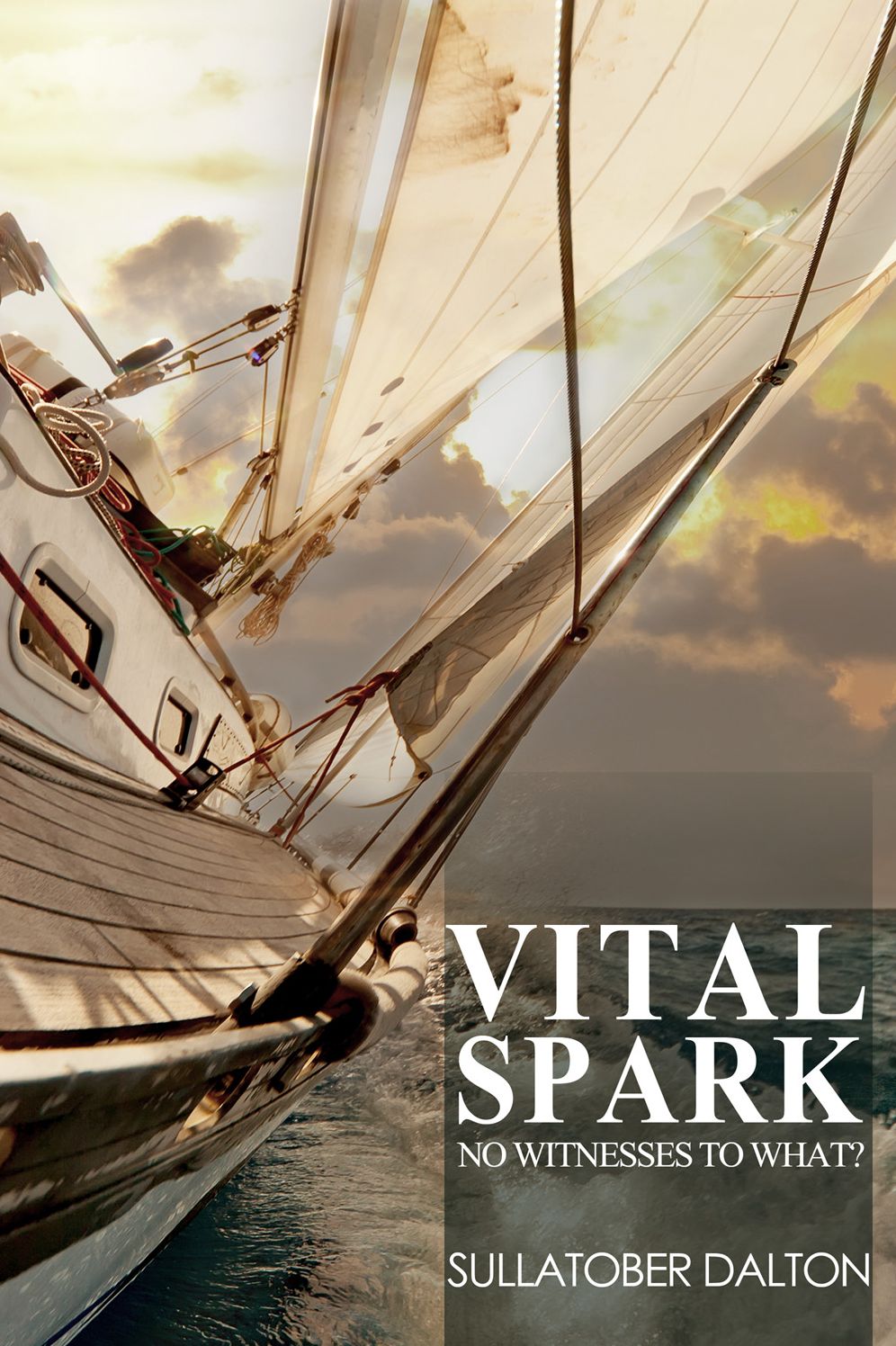Vital Spark: No Witnesses to What?