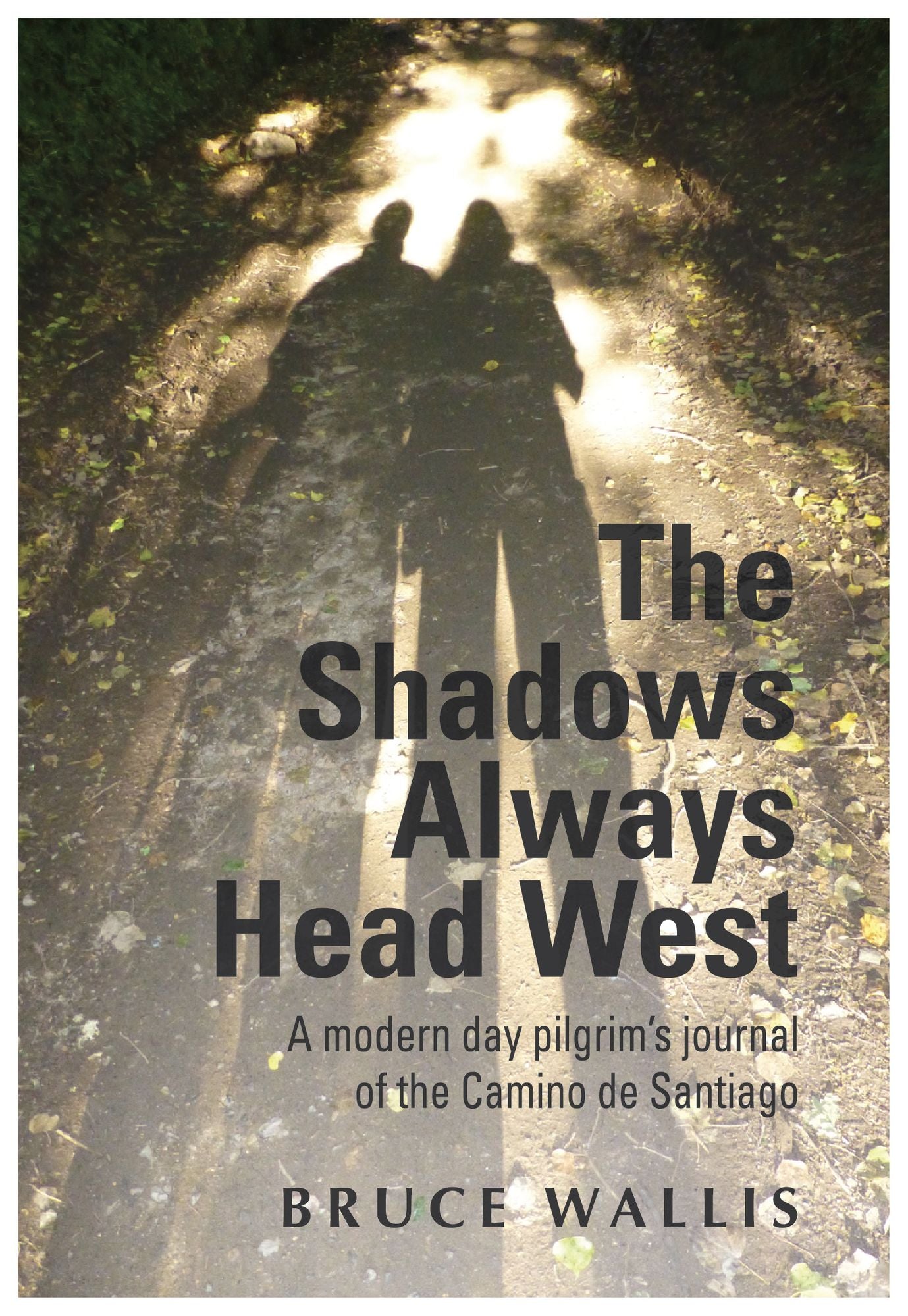 The Shadow Always Head West