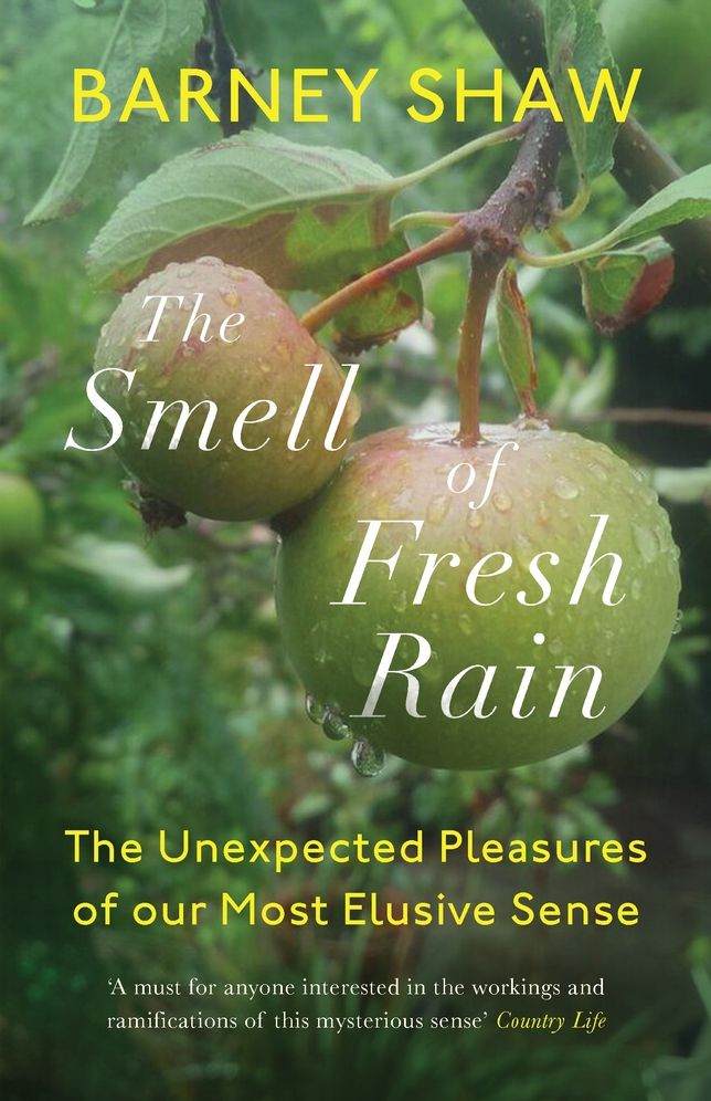 The Smell of Fresh Rain: The Unexpected Pleasures of our Most Elusive Sense