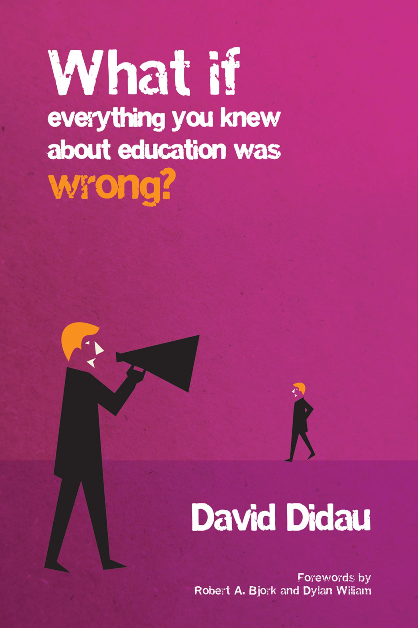What If Everything You Knew About Education was Wrong?