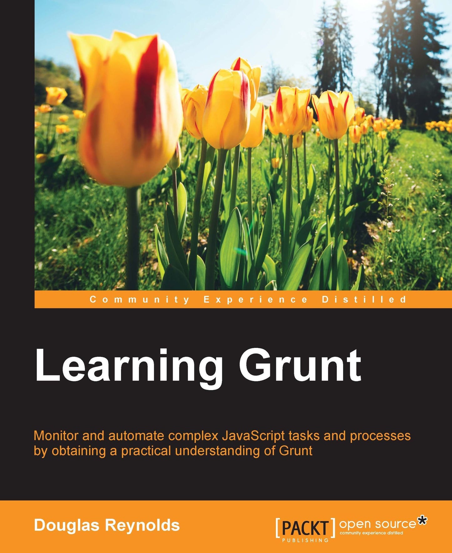 Learning Grunt