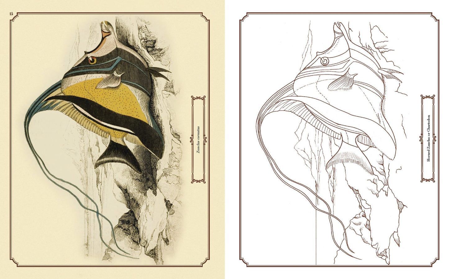 The Beauties of Nature Coloring Book
