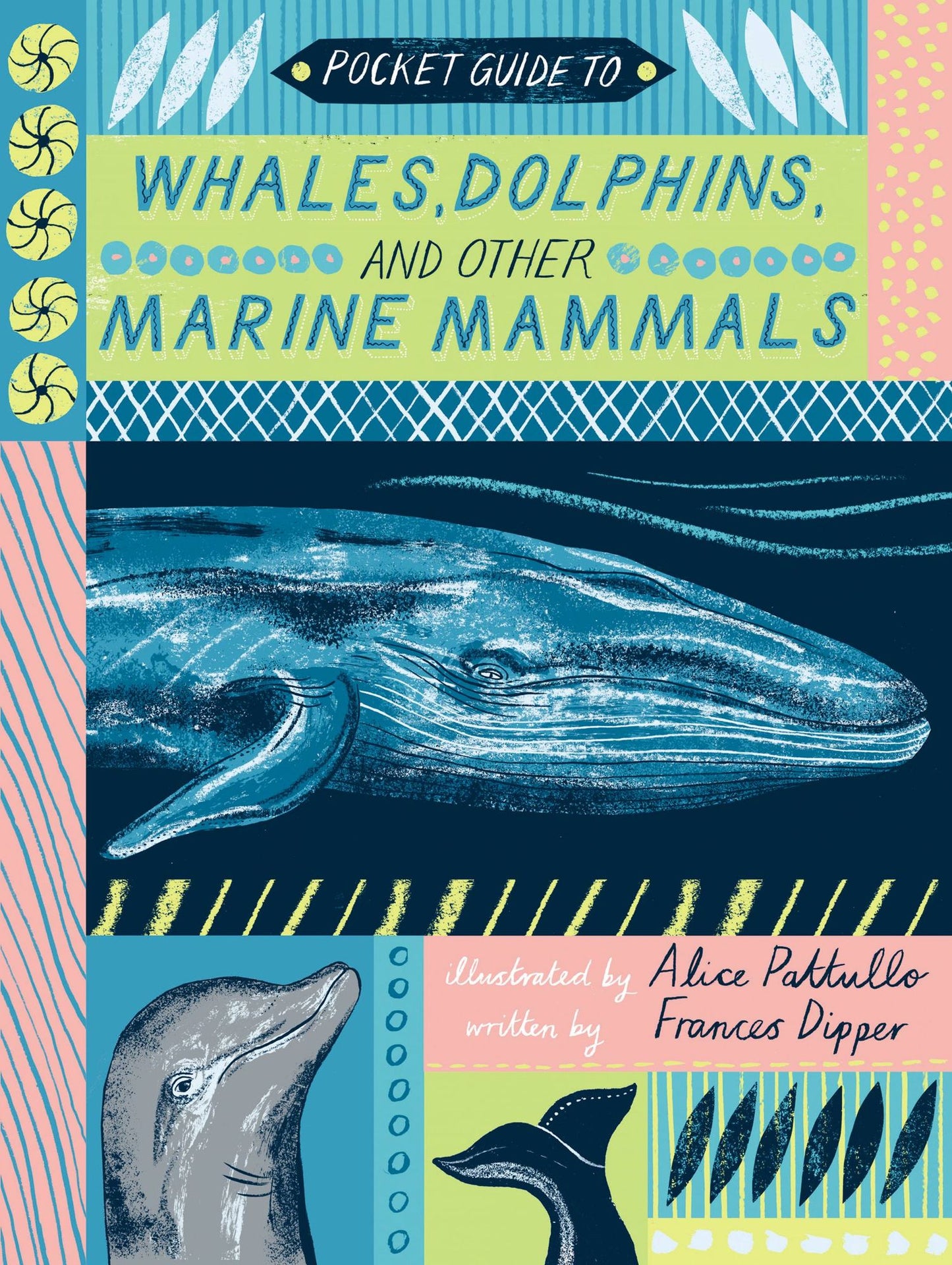 Pocket Guide to Whales, Dolphins and other Marine Mammals
