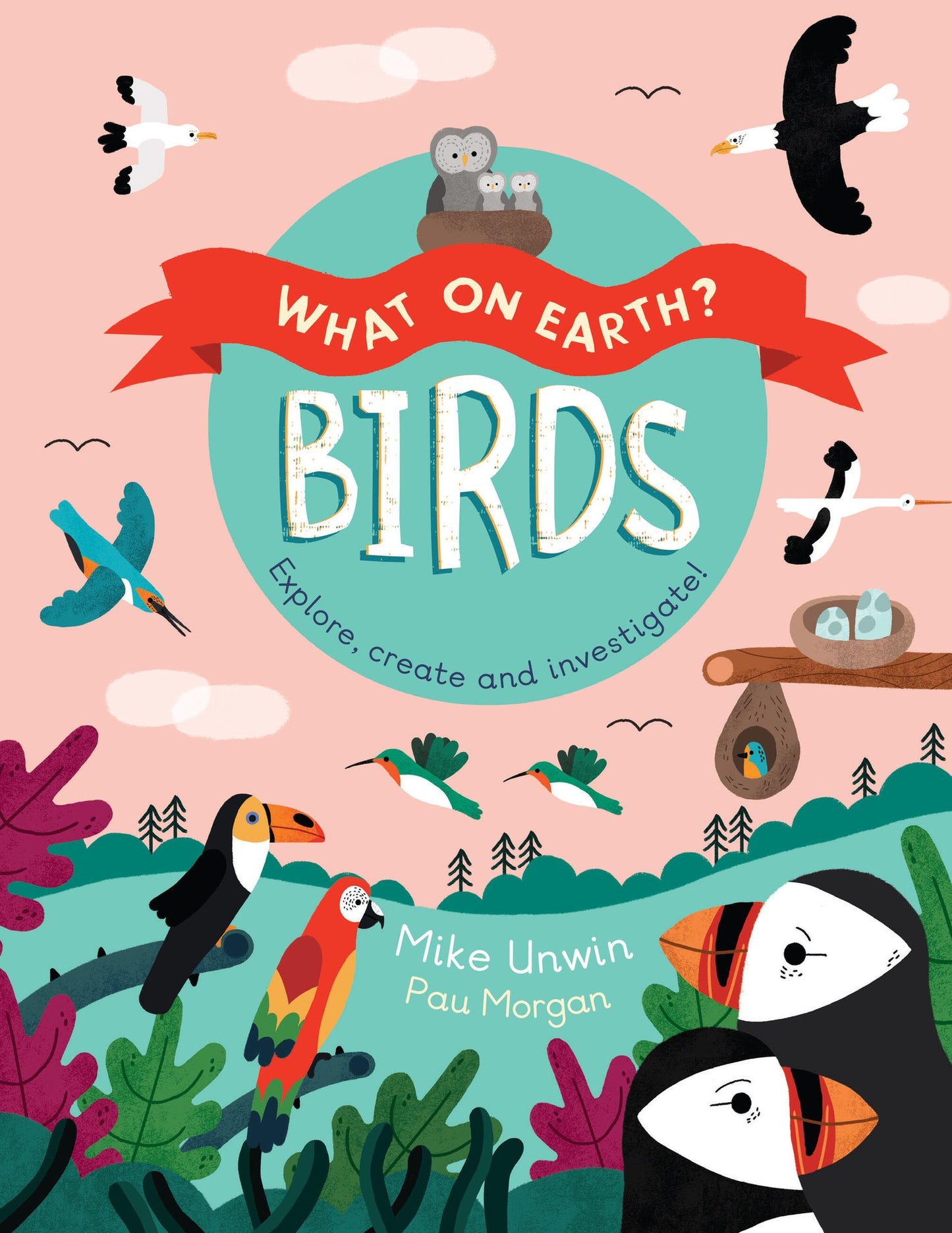 Birds : Explore, Create, and Invetigate