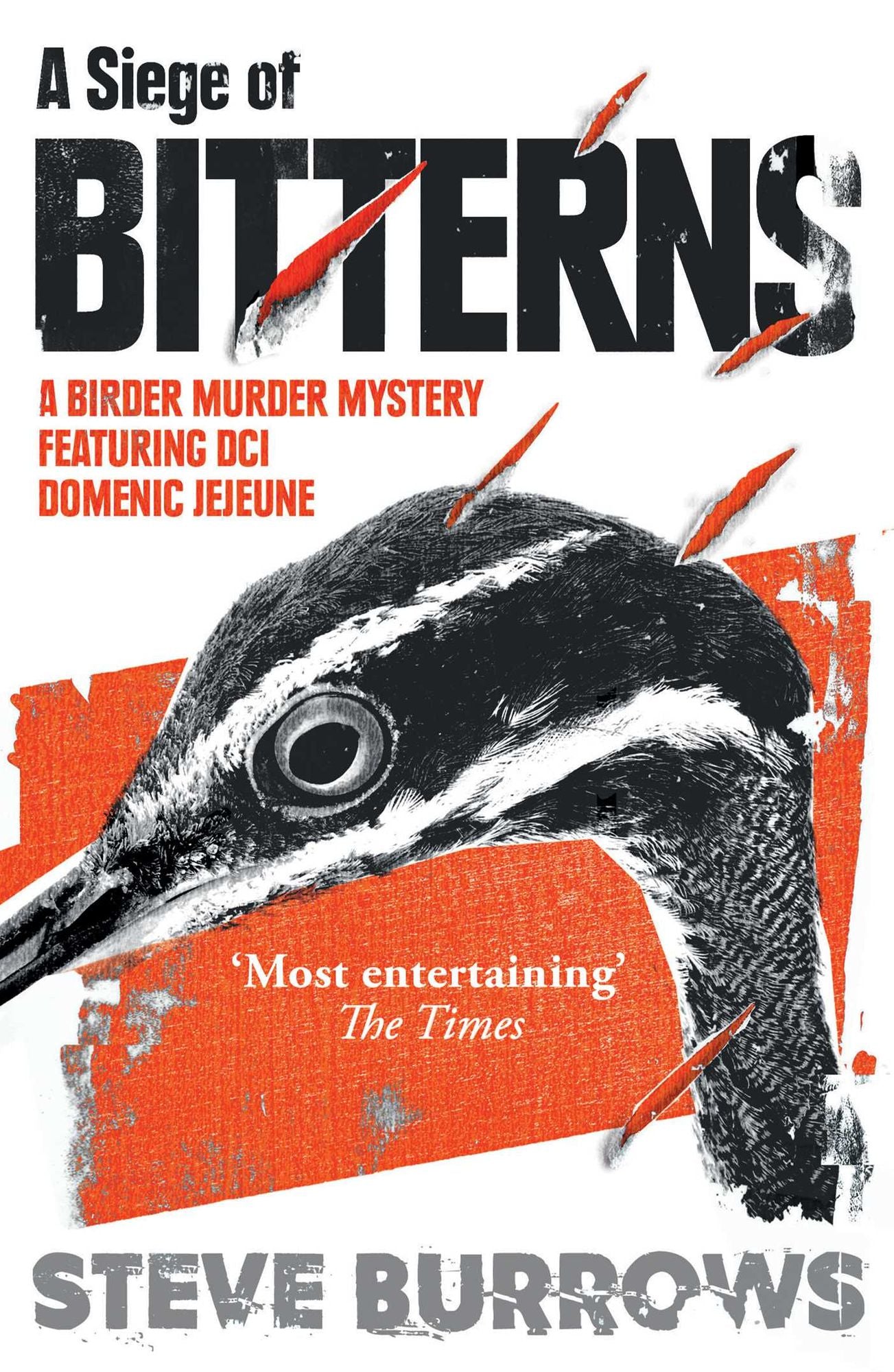 A Siege of Bitterns: Birder Murder Mystery 1