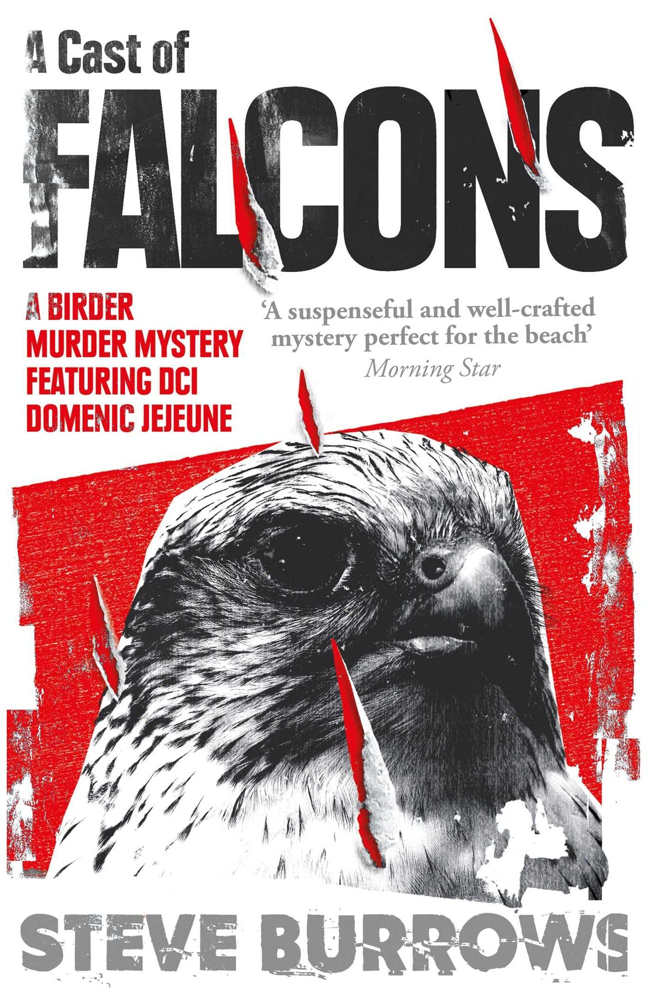 A Cast of Falcons: Birder Murder Mystery 3