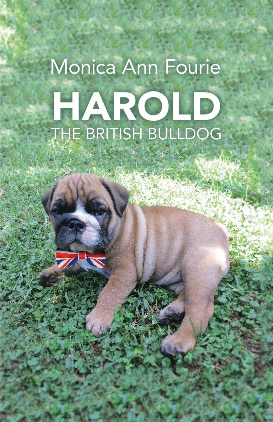 Harold The British Bulldog