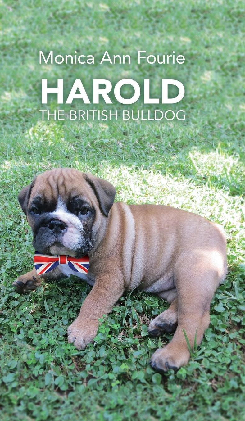 Harold The British Bulldog