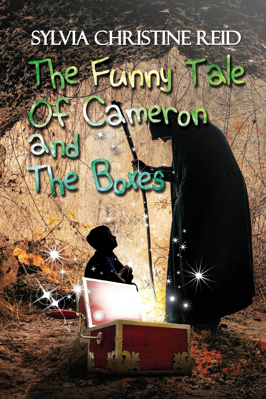 The Funny Tale Of Cameron And The Boxes
