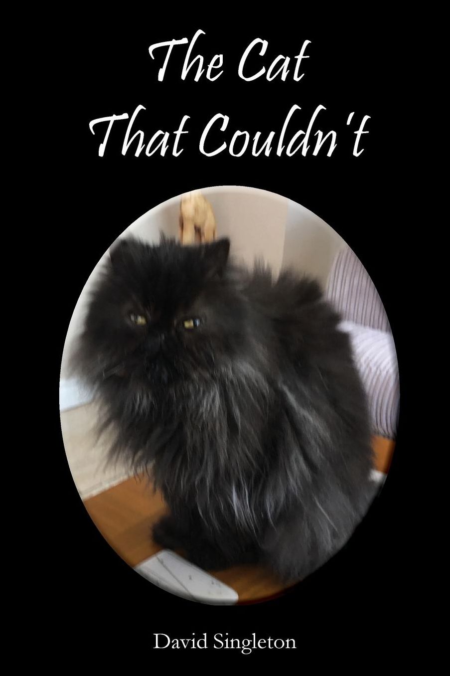 The Cat That Couldn't