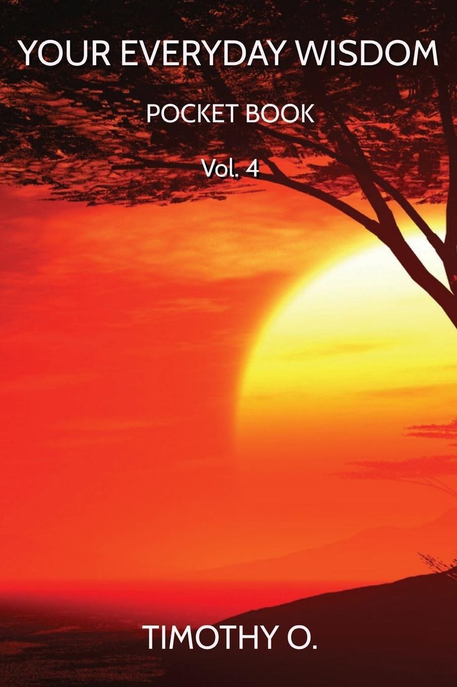 Your Everyday Wisdom: Volume 4