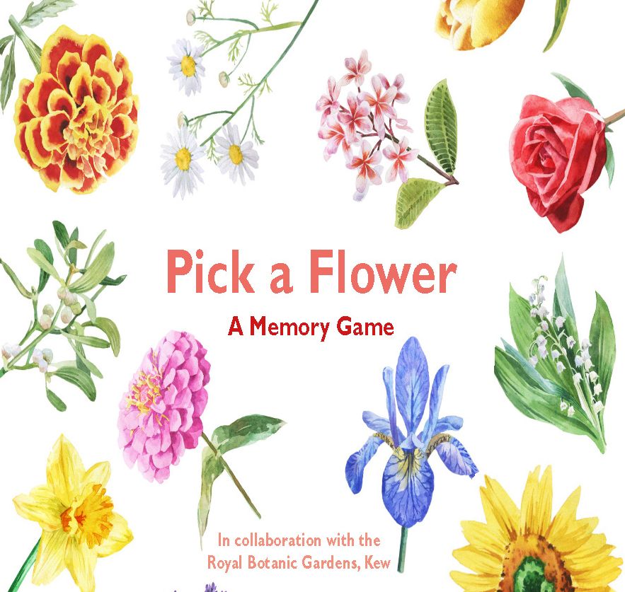 Pick a Flower A Memory Game