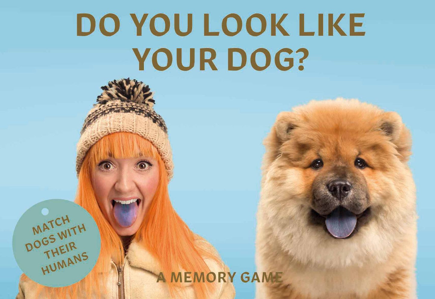 Do You Look Like Your Dog?: The Dog and Owner Memory Game