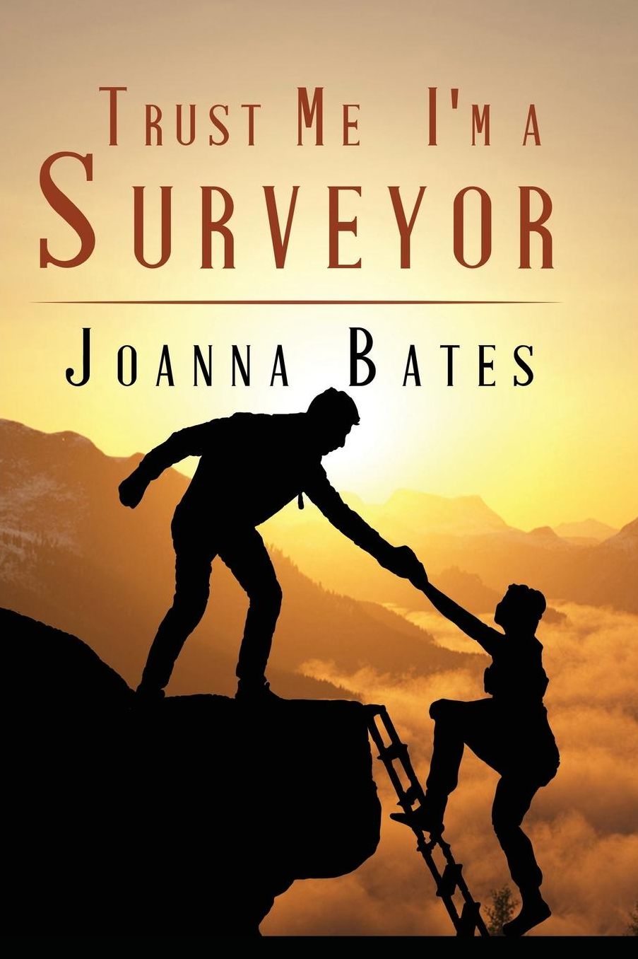 Trust Me, I'm a Surveyor
